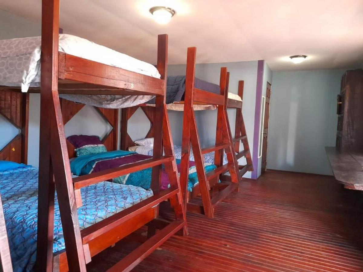 La Delphina Bed And Breakfast Bar And Grill ラ・セイバ エクステリア 写真
